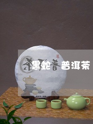 黑蛇 普洱茶/2023042853862